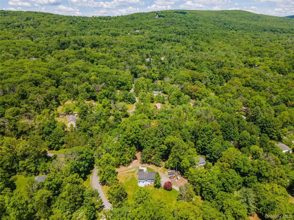 20 Patrick Drive Bloomingburg, NY 12721