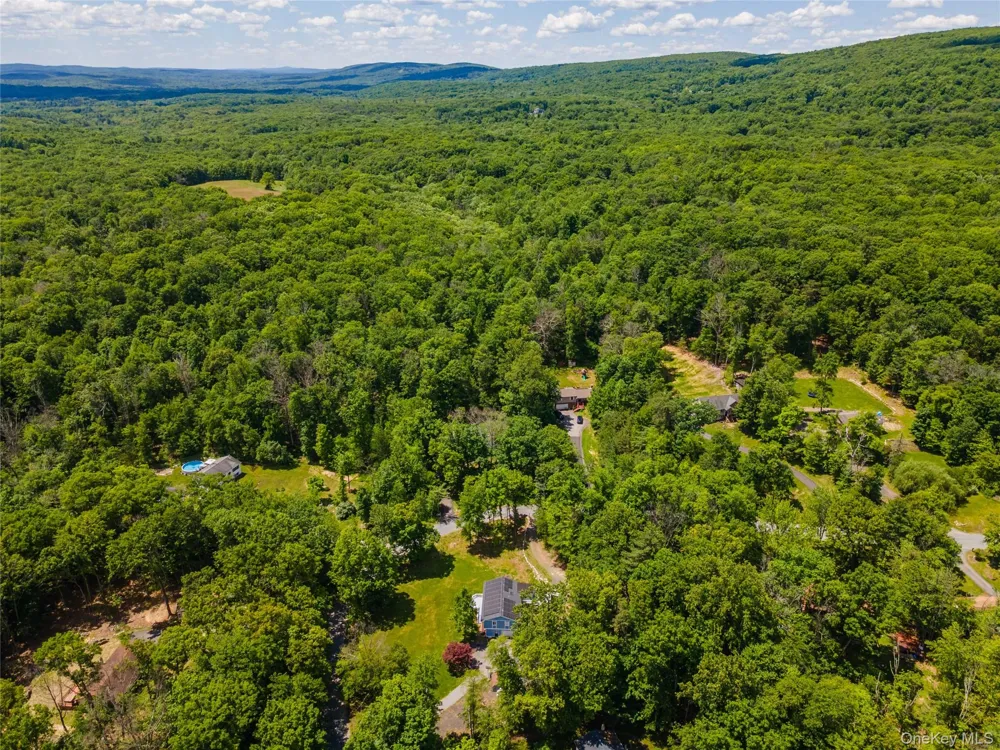 20 Patrick Drive Bloomingburg, NY 12721