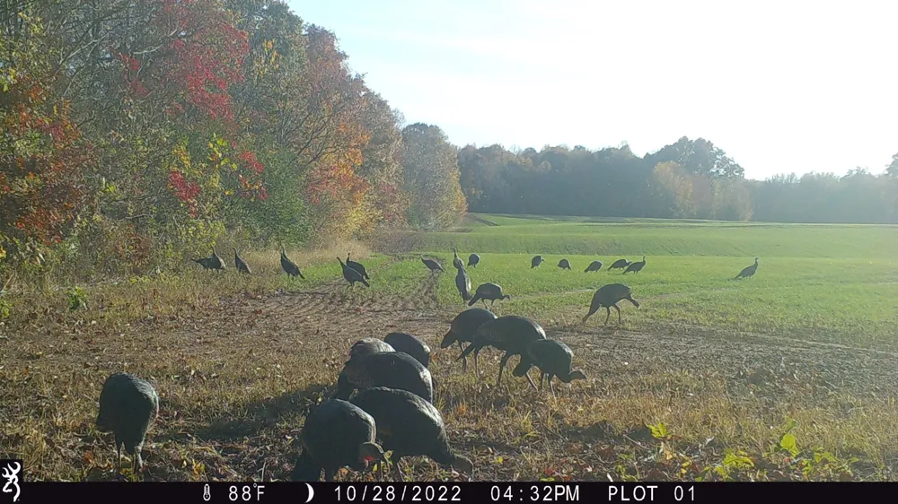 366 Parker Rd Portland, TN 37148
