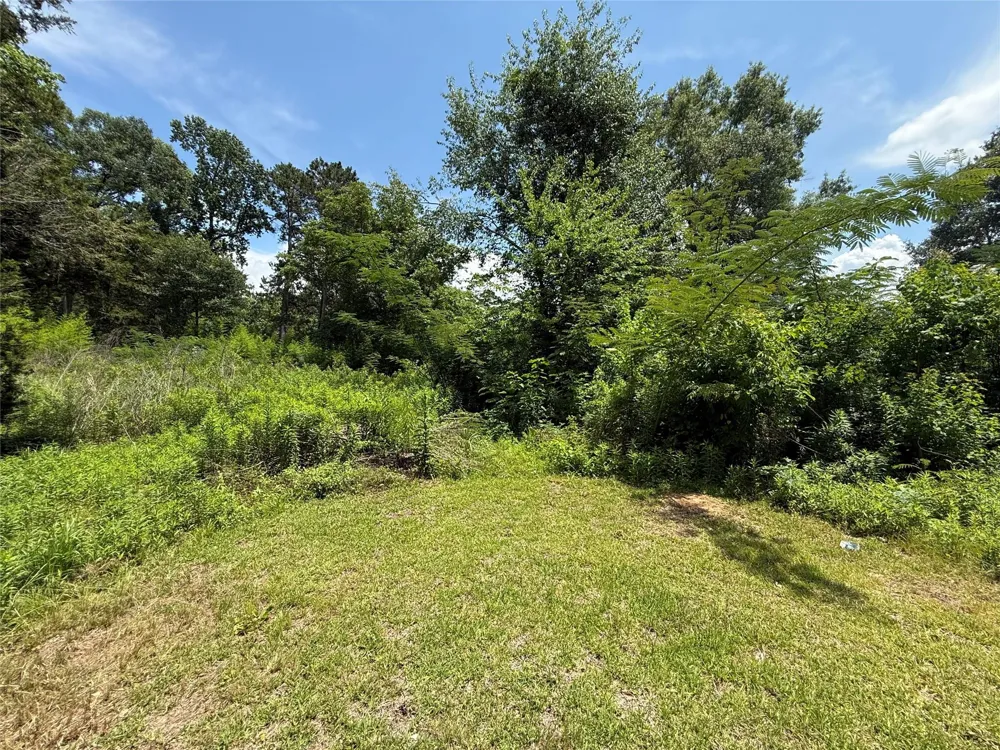 1912 S Wheeler Street Jasper, TX 75951