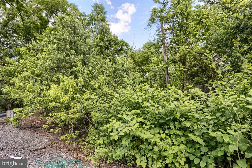 SUSQUEHANNA TRAIL Liverpool, PA 17045