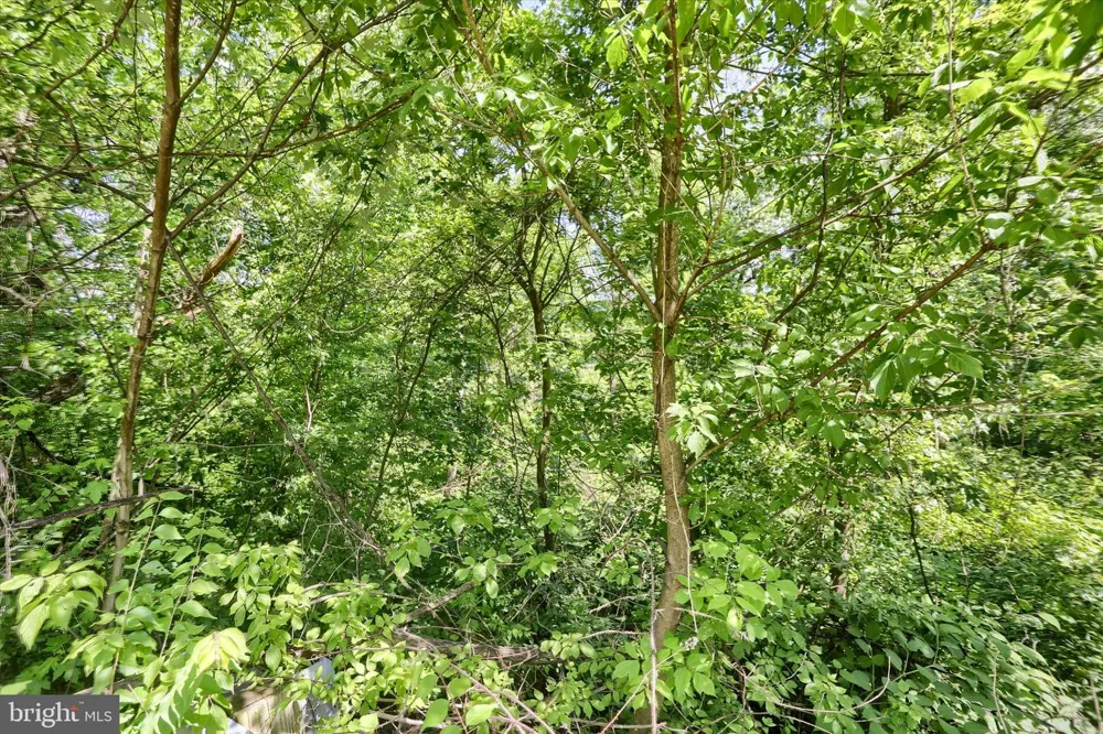 SUSQUEHANNA TRAIL Liverpool, PA 17045