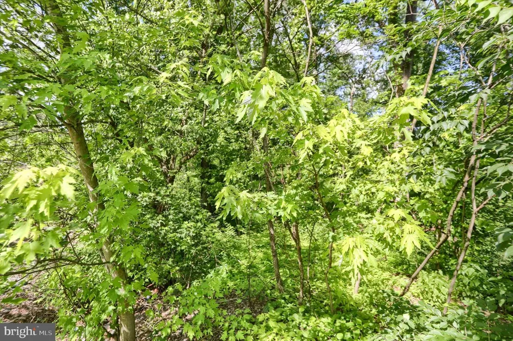 SUSQUEHANNA TRAIL Liverpool, PA 17045