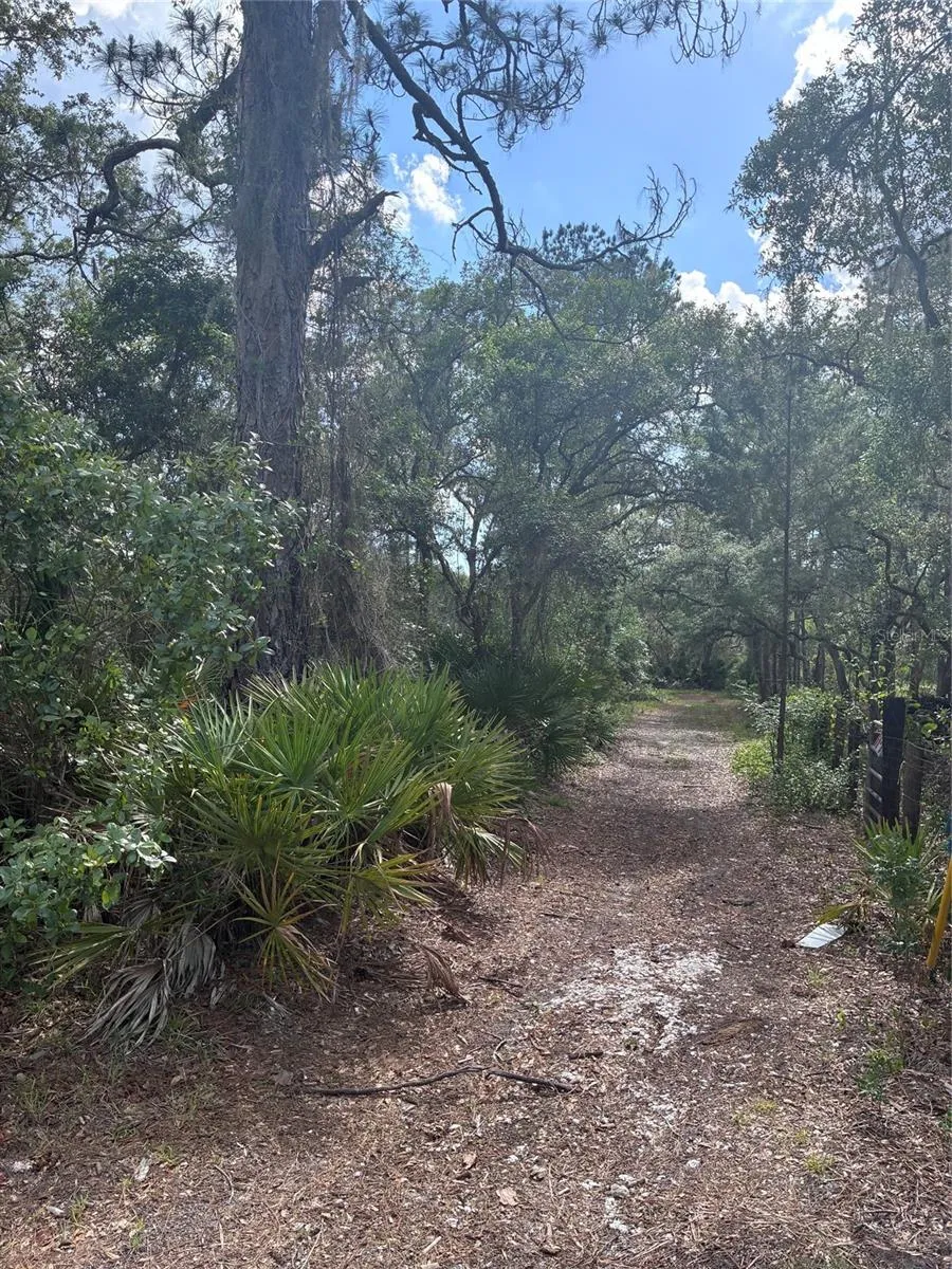 16464 NE 35 ROAD Citra, FL 32113