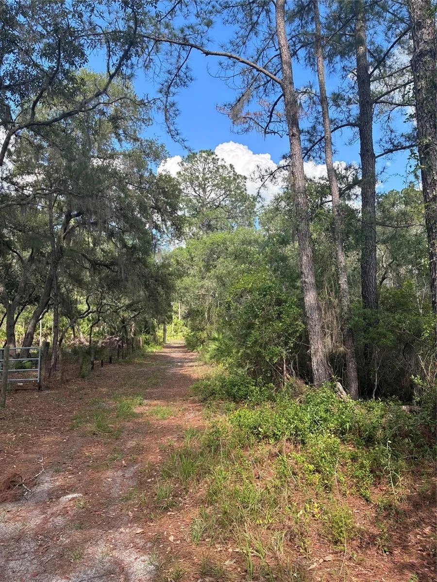 16464 NE 35 ROAD Citra, FL 32113