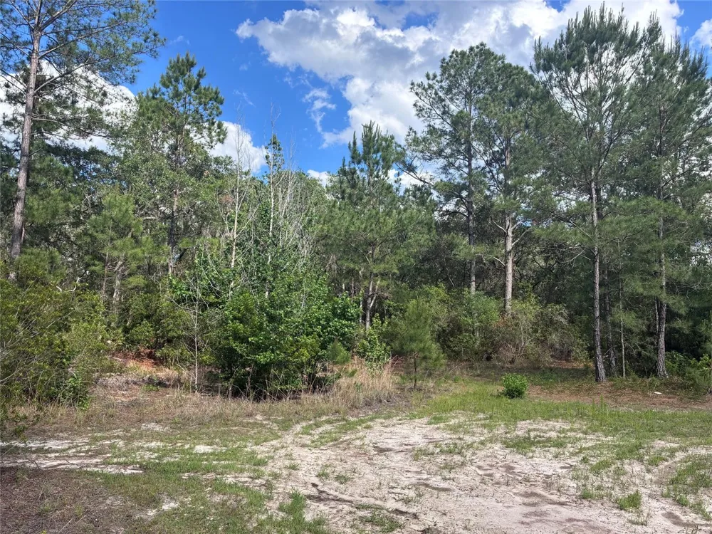 16464 NE 35 ROAD Citra, FL 32113