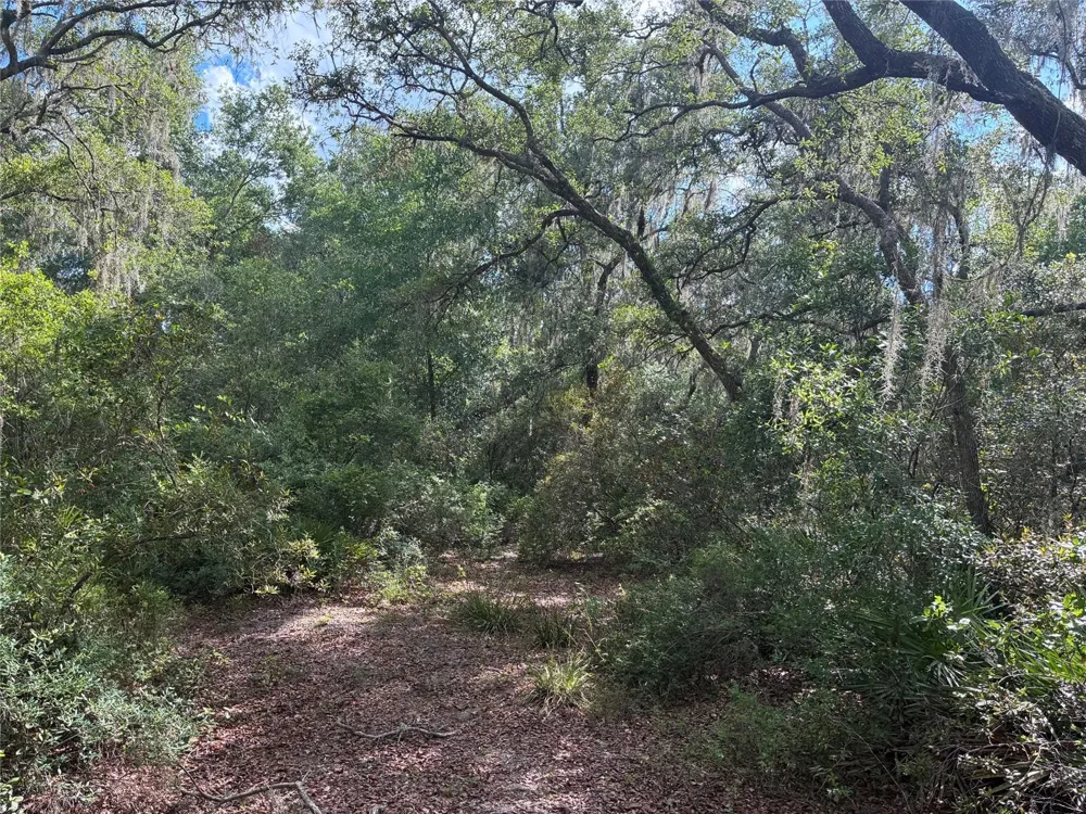 16464 NE 35 ROAD Citra, FL 32113