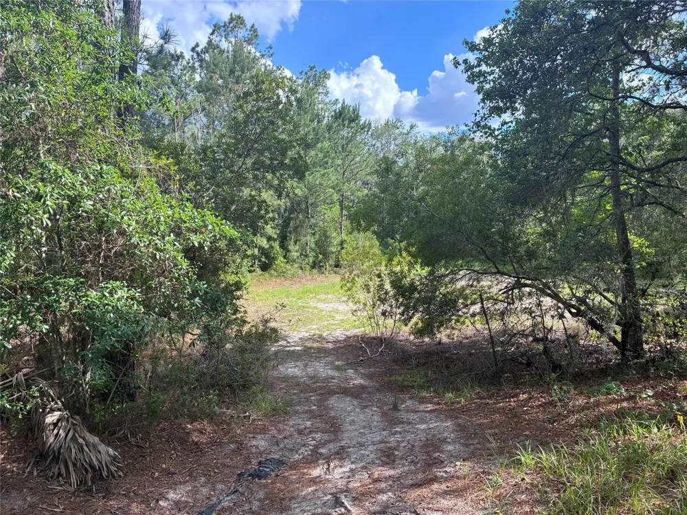 16464 NE 35 ROAD Citra, FL 32113