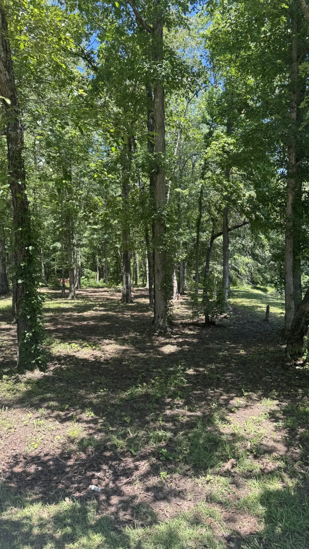 0 Lakewood Drive Beechgrove, TN 37018