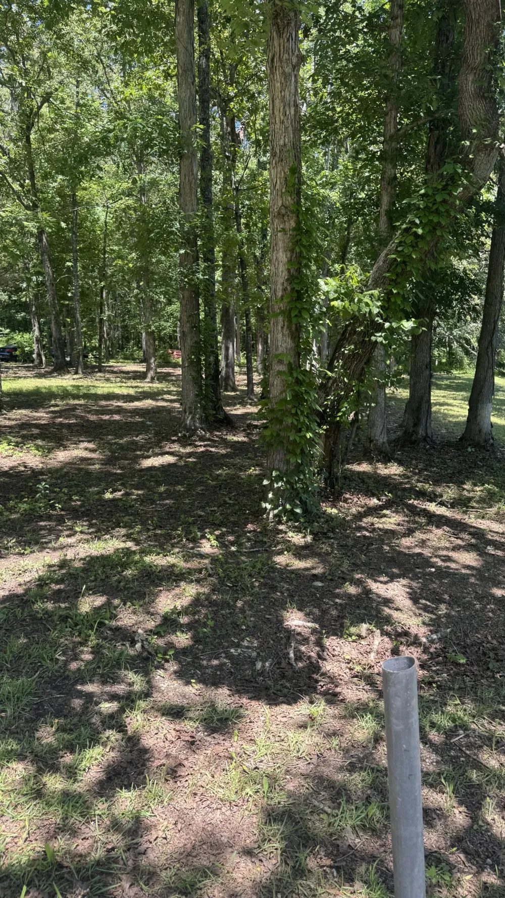 0 Lakewood Drive Beechgrove, TN 37018