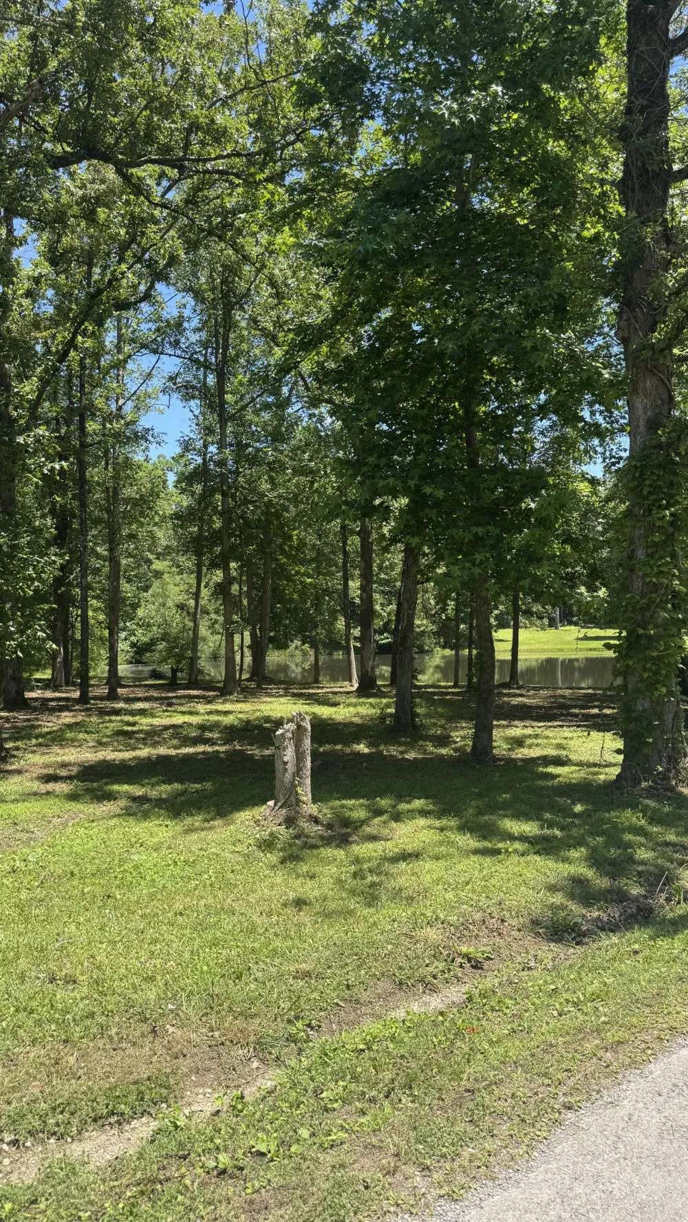 0 Lakewood Drive Beechgrove, TN 37018