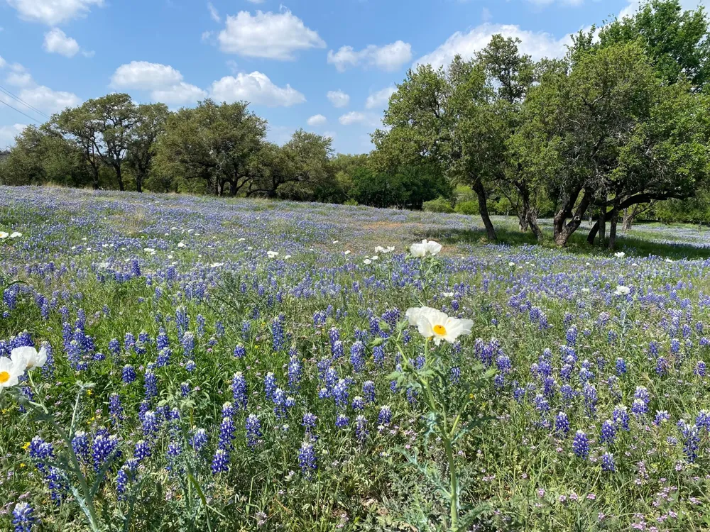 118 Overlook Parkway Horseshoe Bay, TX 78657