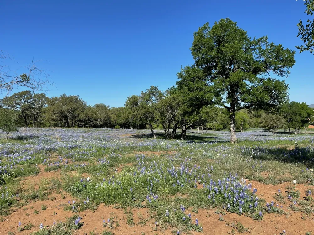 118 Overlook Parkway Horseshoe Bay, TX 78657
