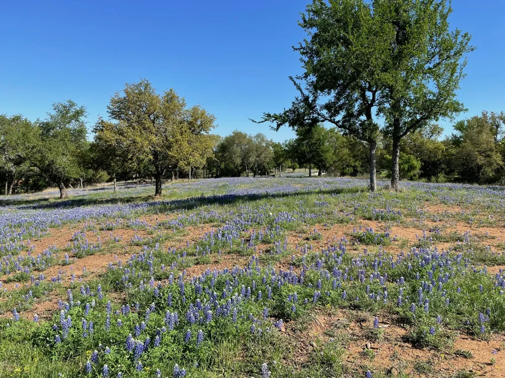 118 Overlook Parkway Horseshoe Bay, TX 78657