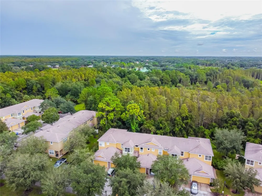 8116 STONE PATH WAY Tampa, FL 33647