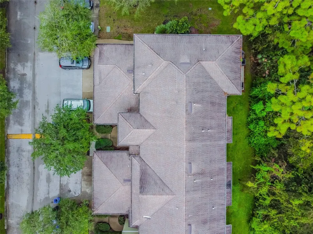 8116 STONE PATH WAY Tampa, FL 33647
