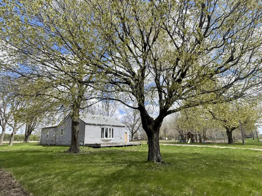 750 Greenwood Avenue Tracy, MN 56175