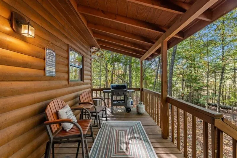 196 Ethan Wilson Way Morganton, GA 30560