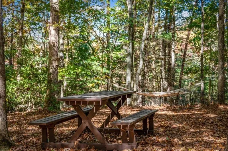 196 Ethan Wilson Way Morganton, GA 30560