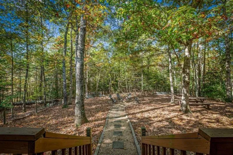 196 Ethan Wilson Way Morganton, GA 30560