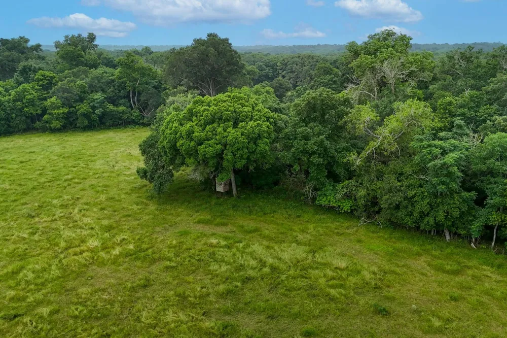 645 Jerrys Creek Lockhart, TX 78644