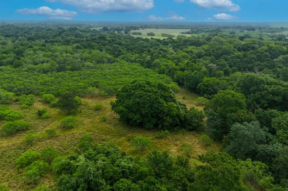 645 Jerrys Creek Lockhart, TX 78644
