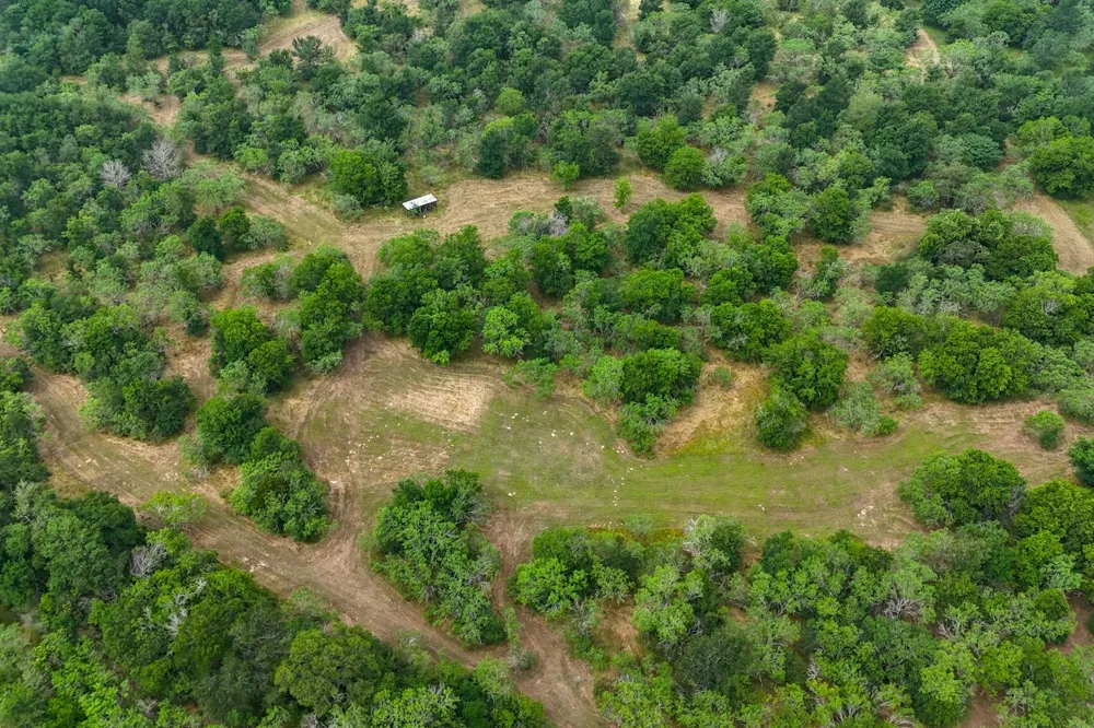 645 Jerrys Creek Lockhart, TX 78644