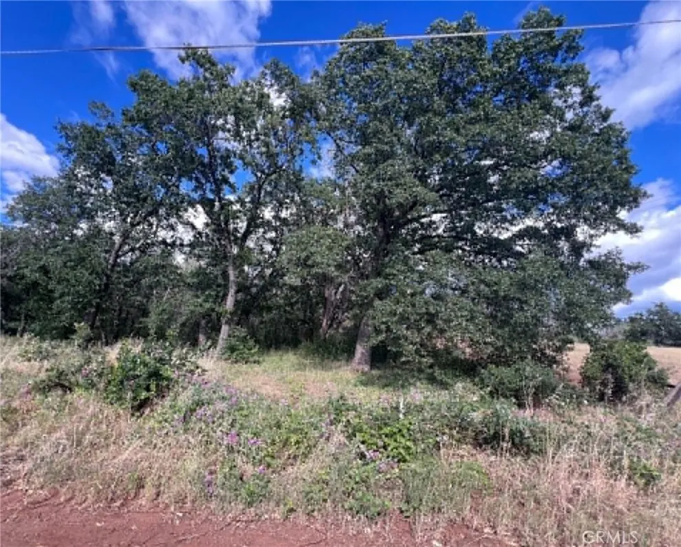 Manton School Rd Manton, CA 96059