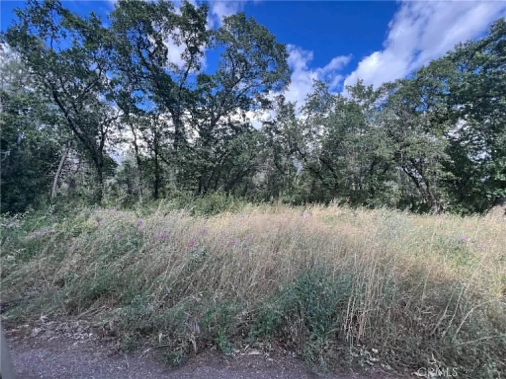 Manton School Rd Manton, CA 96059