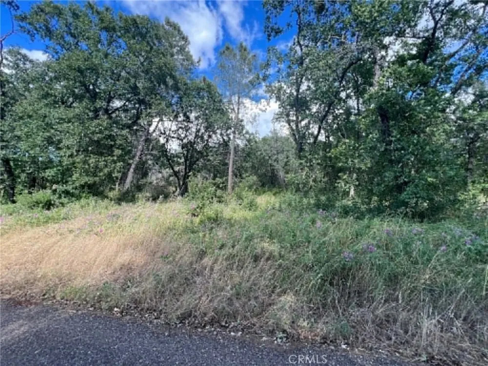 Manton School Rd Manton, CA 96059