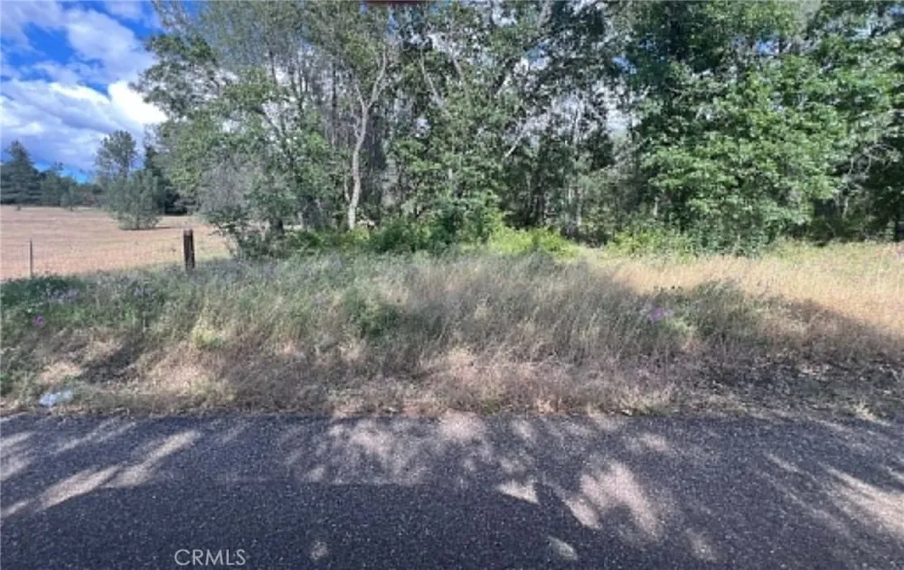 Manton School Rd Manton, CA 96059