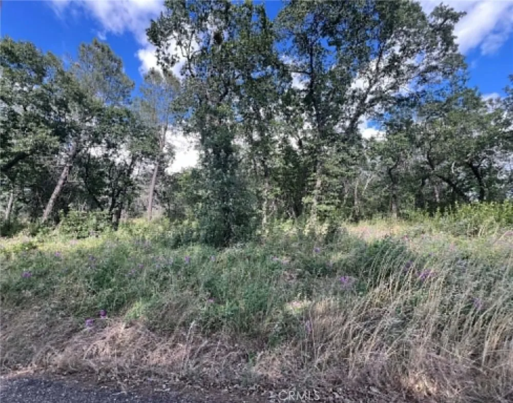 Manton School Rd Manton, CA 96059