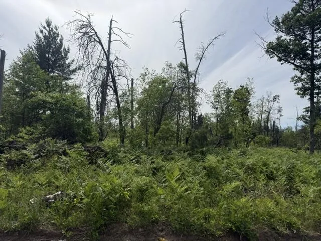3 Nelson Road Idlewild, MI 49642