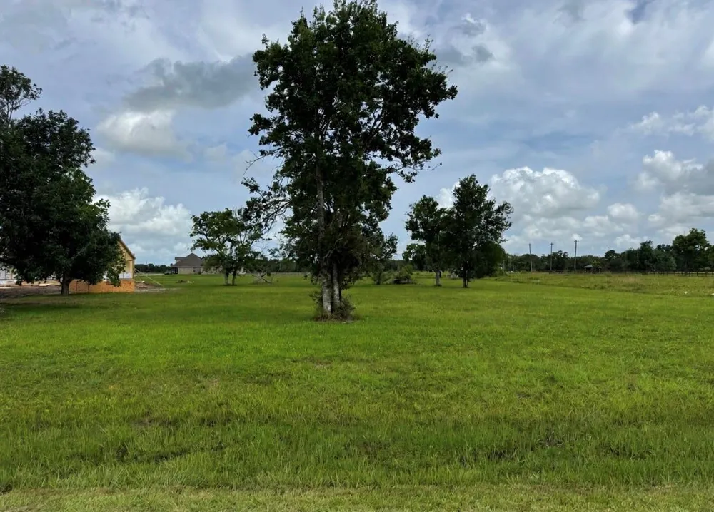 33011 Amberjack Drive Richwood, TX 77515