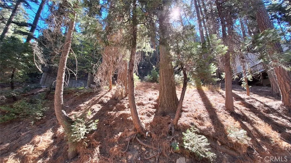 Sunderland Lake Arrowhead, CA 92352