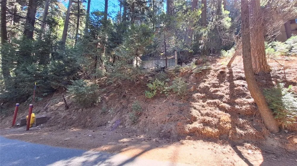 Sunderland Lake Arrowhead, CA 92352