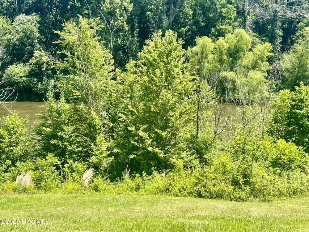 281 Old Sr 1801 Scotland Neck, NC 27874