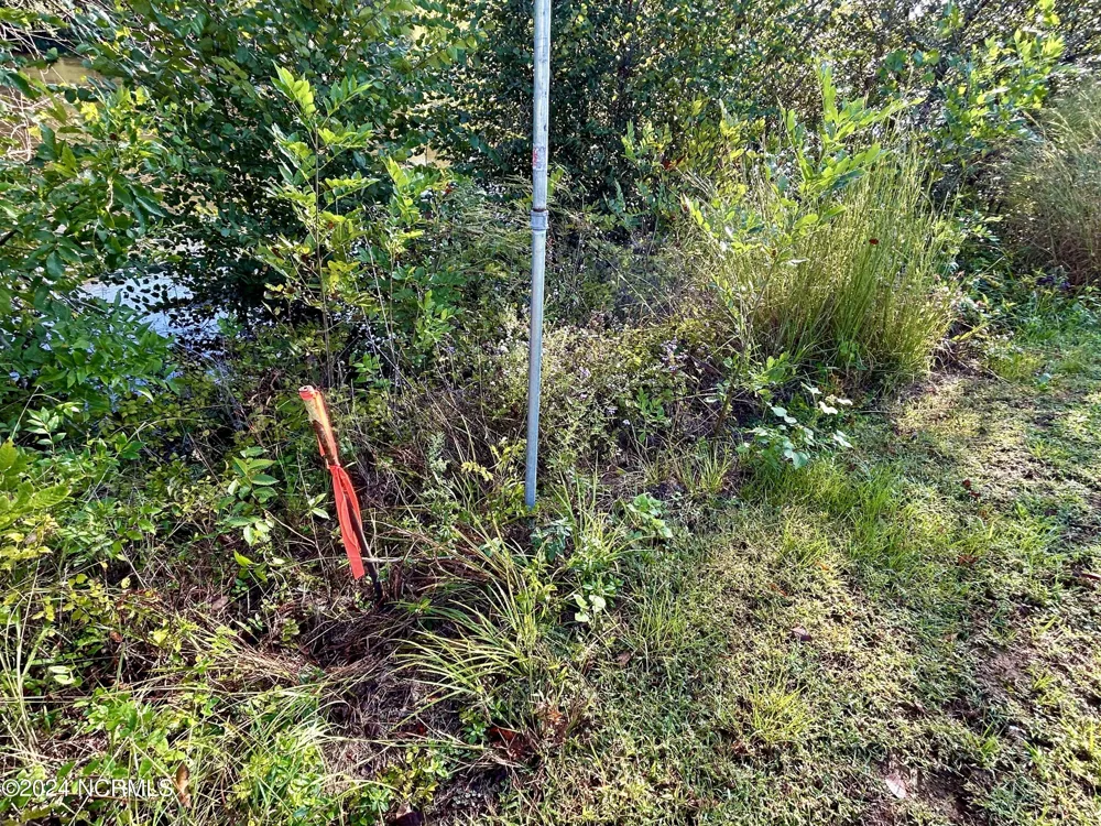 281 Old Sr 1801 Scotland Neck, NC 27874