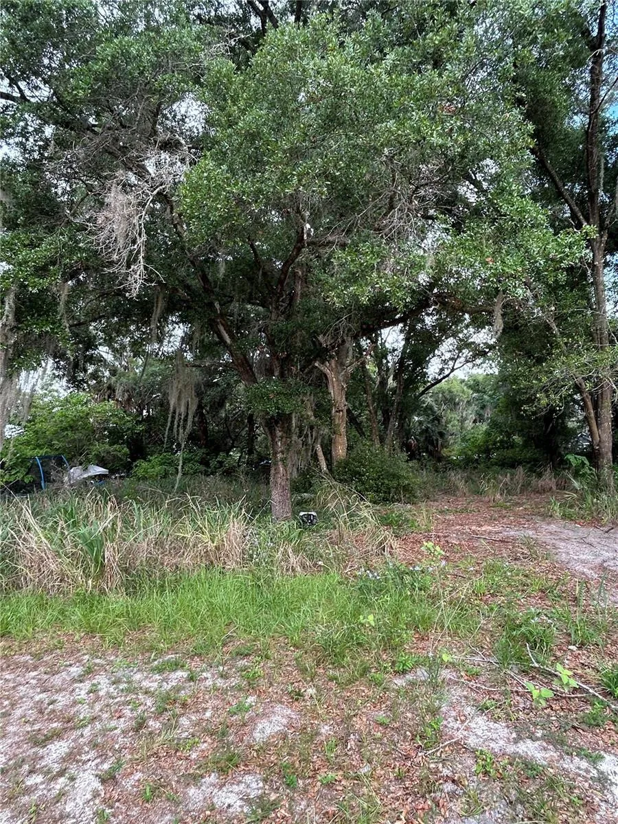 508 PALMETTO STREET Eustis, FL 32726