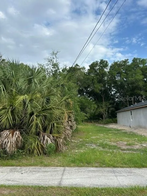 PALMETTO STREET