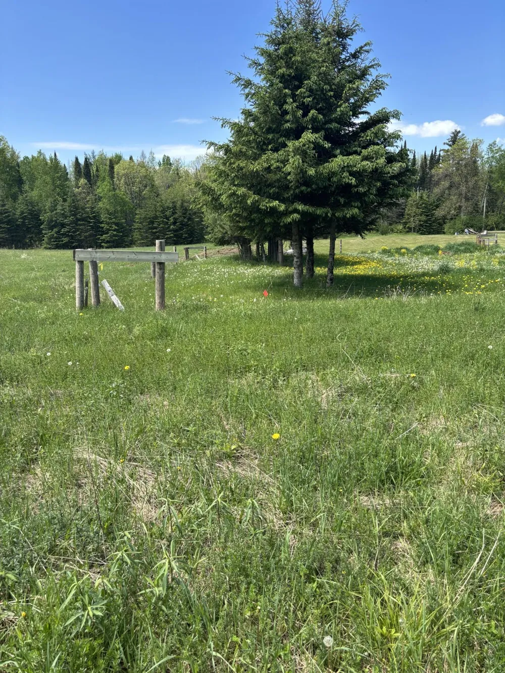 N3860 Kostka Road Ladysmith, WI 54848