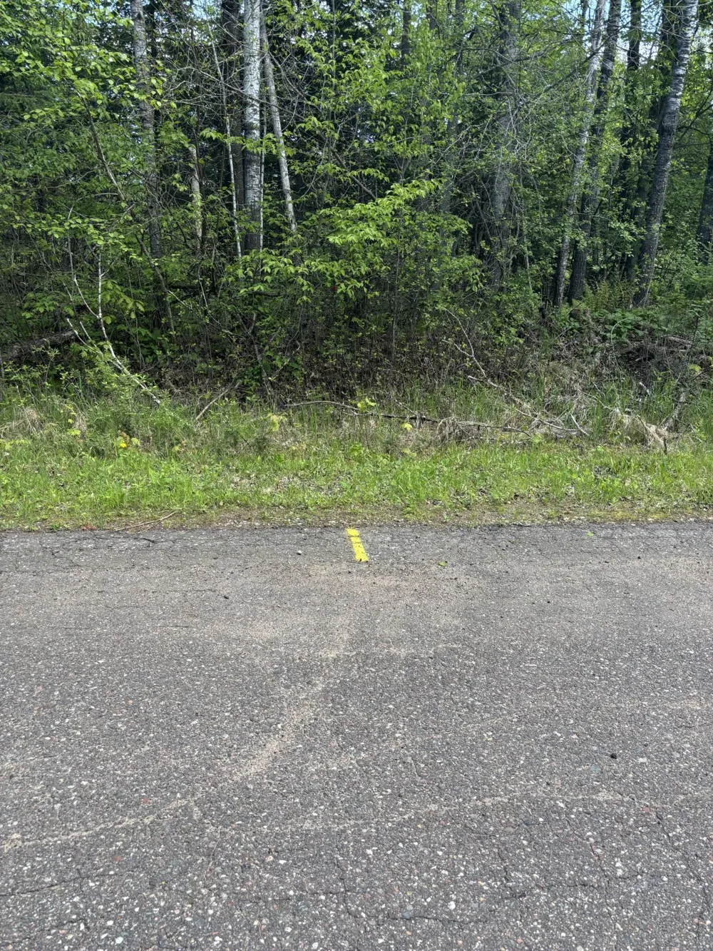 N3860 Kostka Road Ladysmith, WI 54848