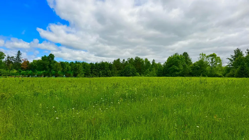 N3860 Kostka Road Ladysmith, WI 54848