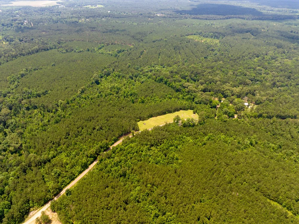 Blade Loop Road Jena, LA 71342