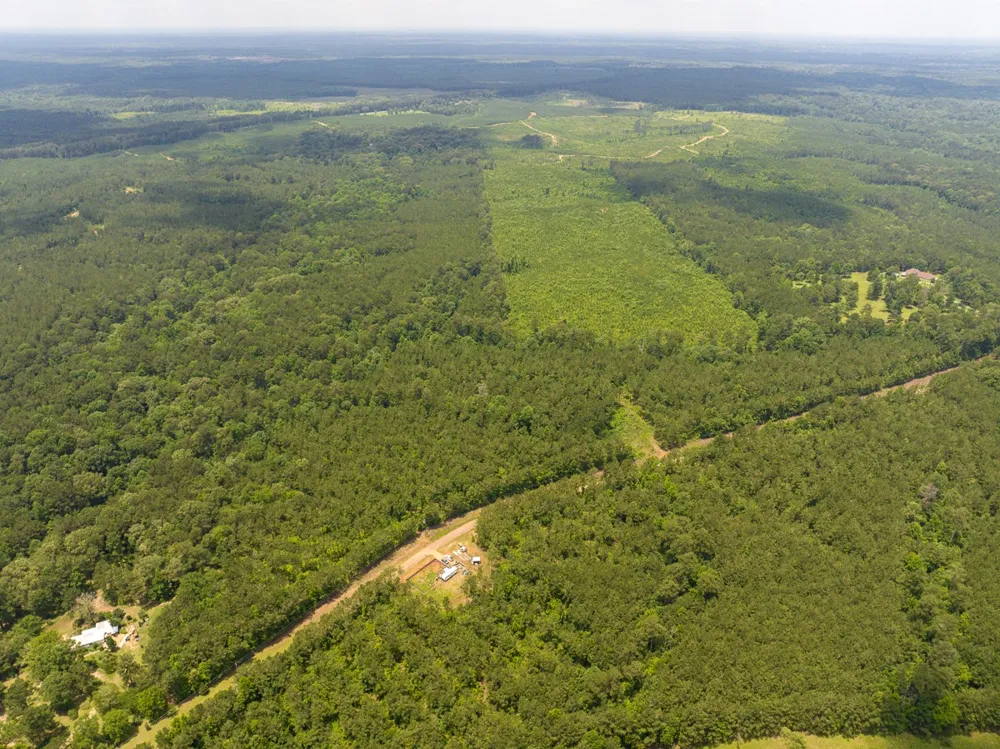 Blade Loop Road Jena, LA 71342