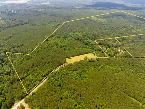 Blade Loop Road