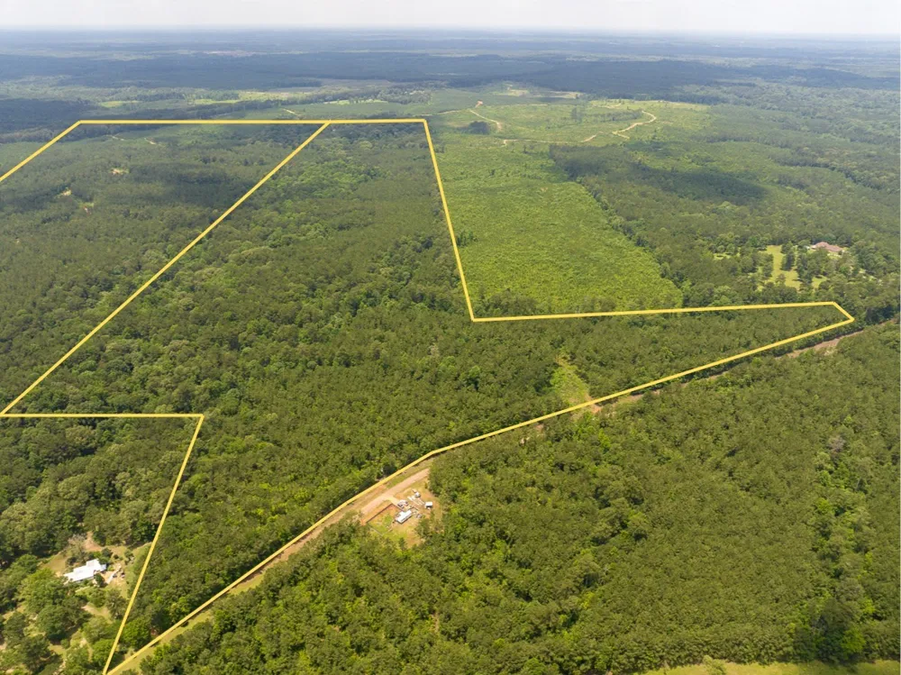 Blade Loop Road Jena, LA 71342