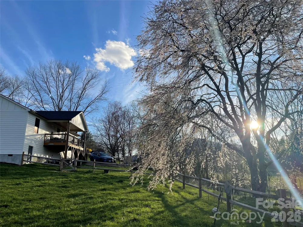 923 Newfound Road Leicester, NC 28748