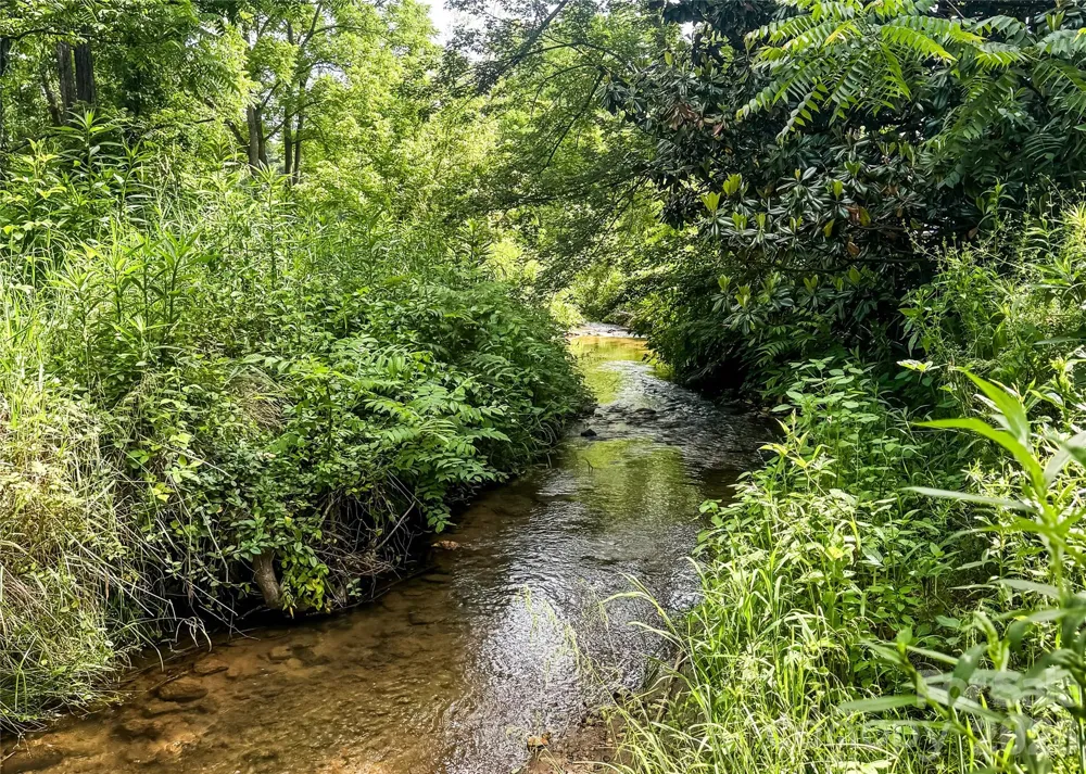 923 Newfound Road Leicester, NC 28748