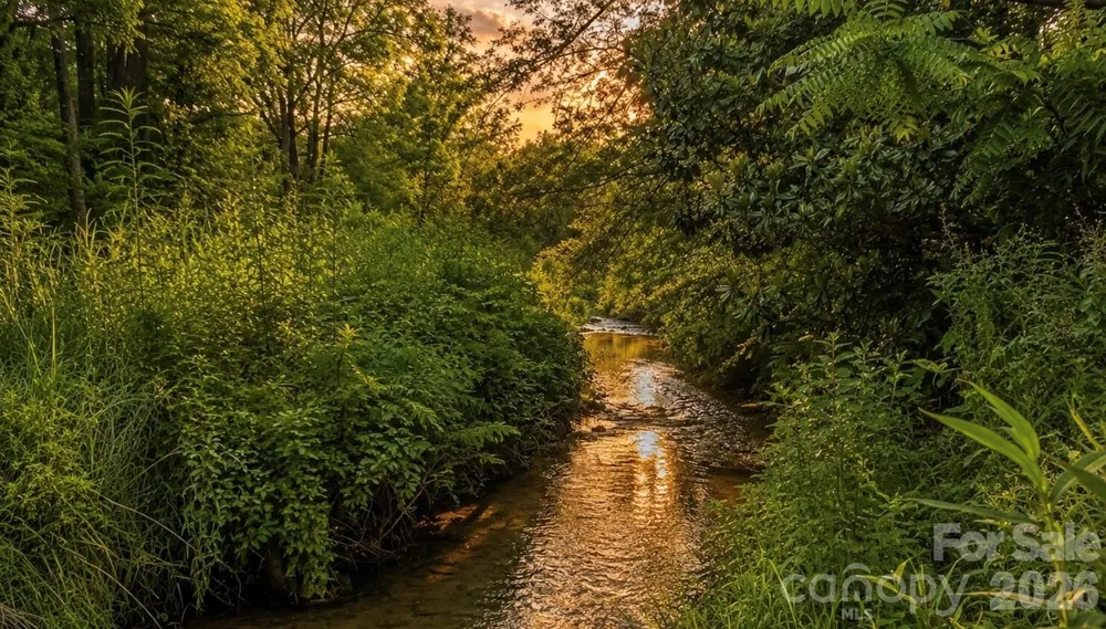 923 Newfound Road Leicester, NC 28748